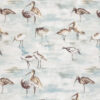 Coastal Birds - Image 2