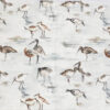 Coastal Birds - Image 3