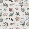 Coastal Shells - Image 2