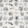Coastal Shells - Image 3