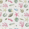 Coastal Shells - Image 4