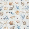 Coastal Shells - Image 5