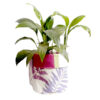 Pot Plant Holders - Image 2