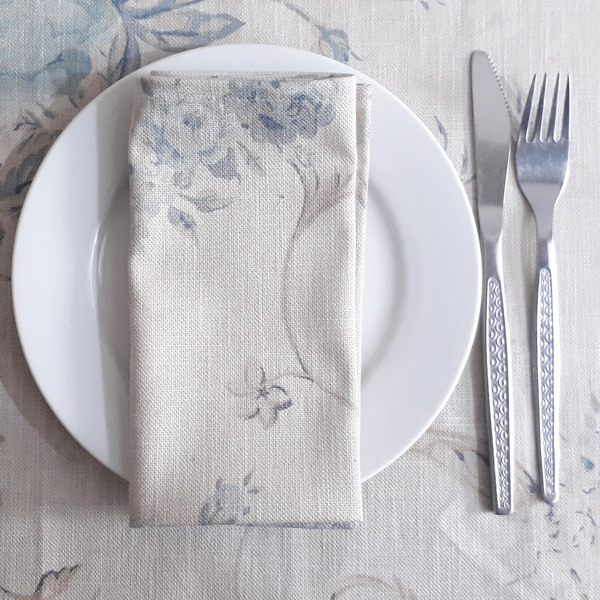 Light Blue Toile Placemats
